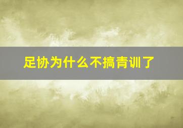 足协为什么不搞青训了