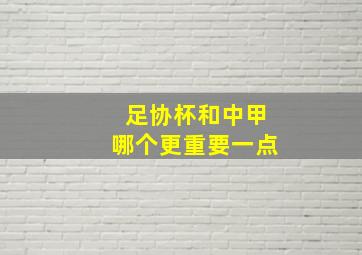 足协杯和中甲哪个更重要一点