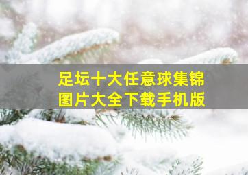 足坛十大任意球集锦图片大全下载手机版