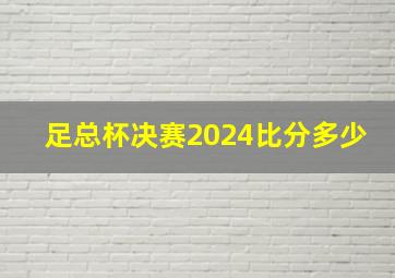 足总杯决赛2024比分多少