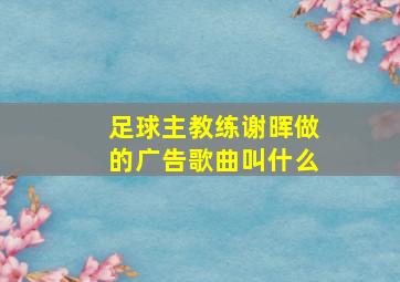 足球主教练谢晖做的广告歌曲叫什么