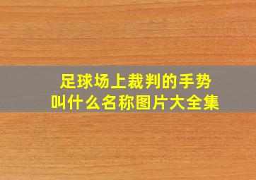 足球场上裁判的手势叫什么名称图片大全集