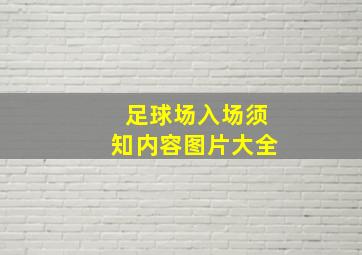 足球场入场须知内容图片大全