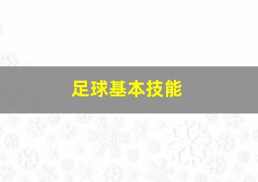 足球基本技能