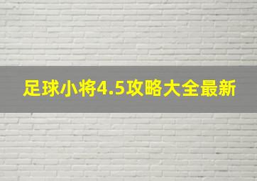 足球小将4.5攻略大全最新