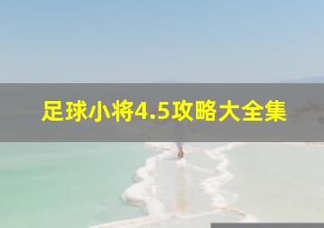 足球小将4.5攻略大全集