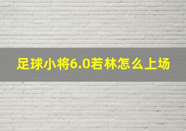 足球小将6.0若林怎么上场