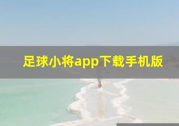 足球小将app下载手机版