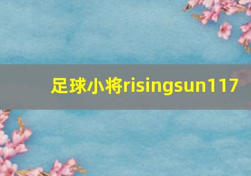 足球小将risingsun117