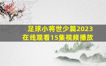 足球小将世少篇2023在线观看15集视频播放