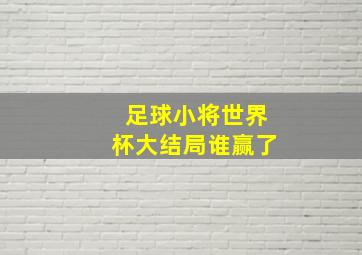 足球小将世界杯大结局谁赢了