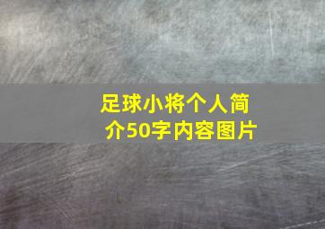 足球小将个人简介50字内容图片