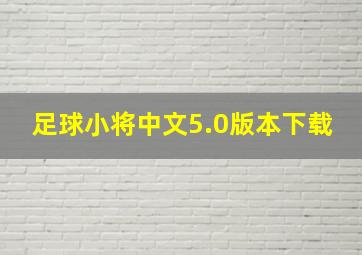 足球小将中文5.0版本下载