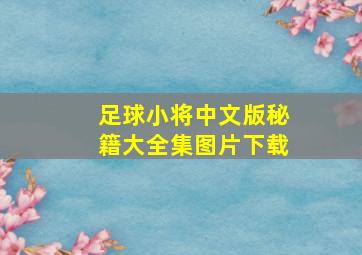 足球小将中文版秘籍大全集图片下载