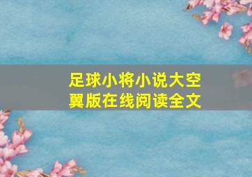 足球小将小说大空翼版在线阅读全文