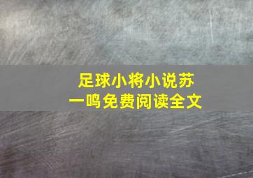 足球小将小说苏一鸣免费阅读全文