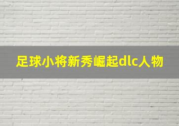 足球小将新秀崛起dlc人物