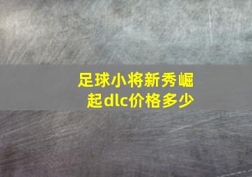 足球小将新秀崛起dlc价格多少