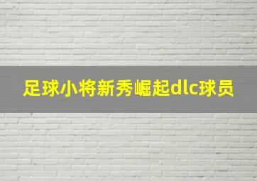 足球小将新秀崛起dlc球员