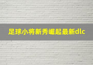 足球小将新秀崛起最新dlc