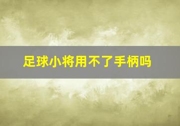 足球小将用不了手柄吗