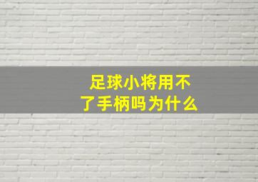 足球小将用不了手柄吗为什么