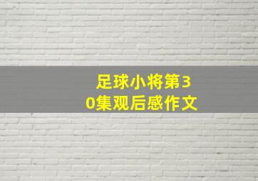 足球小将第30集观后感作文