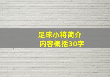 足球小将简介内容概括30字