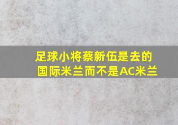 足球小将蔡新伍是去的国际米兰而不是AC米兰