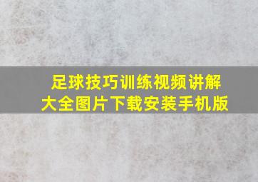 足球技巧训练视频讲解大全图片下载安装手机版