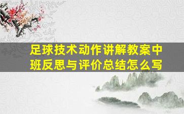 足球技术动作讲解教案中班反思与评价总结怎么写