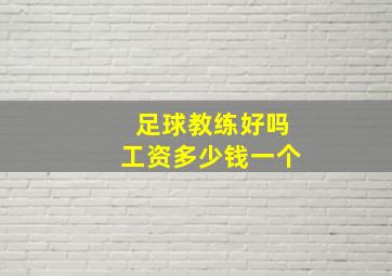 足球教练好吗工资多少钱一个