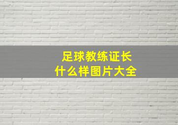 足球教练证长什么样图片大全