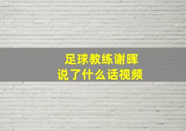 足球教练谢晖说了什么话视频