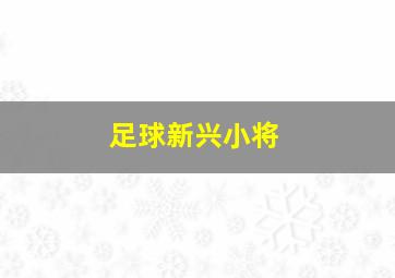 足球新兴小将