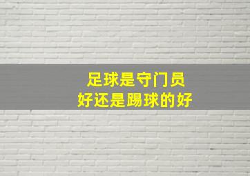 足球是守门员好还是踢球的好