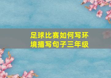 足球比赛如何写环境描写句子三年级