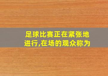 足球比赛正在紧张地进行,在场的观众称为