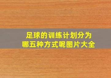 足球的训练计划分为哪五种方式呢图片大全