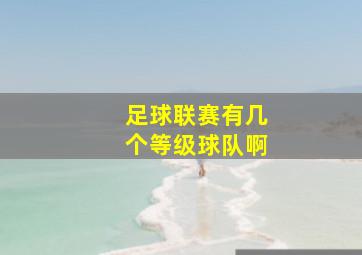 足球联赛有几个等级球队啊