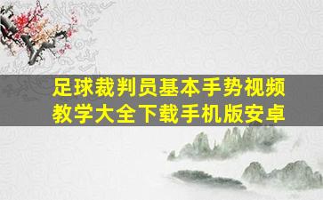 足球裁判员基本手势视频教学大全下载手机版安卓