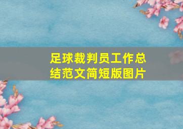 足球裁判员工作总结范文简短版图片