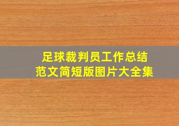 足球裁判员工作总结范文简短版图片大全集