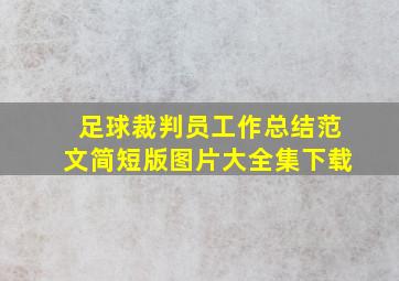 足球裁判员工作总结范文简短版图片大全集下载