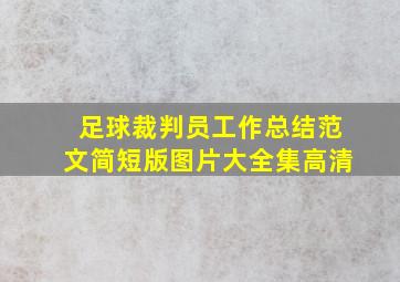 足球裁判员工作总结范文简短版图片大全集高清