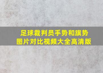 足球裁判员手势和旗势图片对比视频大全高清版