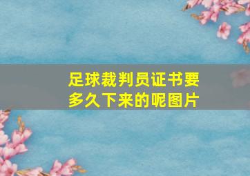 足球裁判员证书要多久下来的呢图片