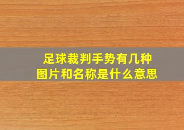 足球裁判手势有几种图片和名称是什么意思