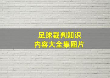 足球裁判知识内容大全集图片