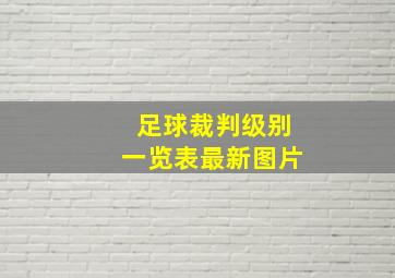 足球裁判级别一览表最新图片